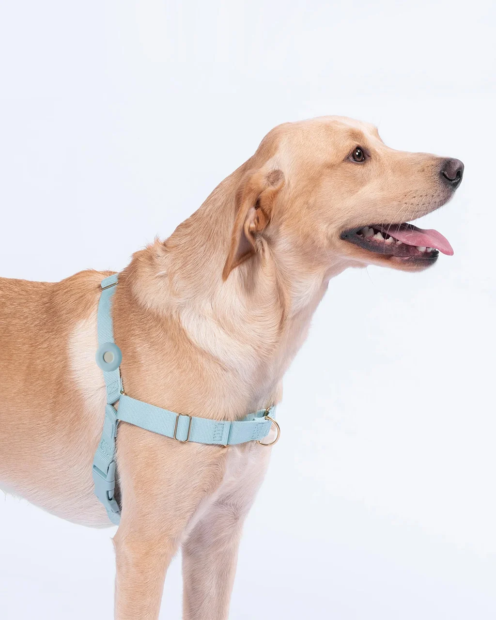 Awoo Fetch! AirTag Holder - Image 4