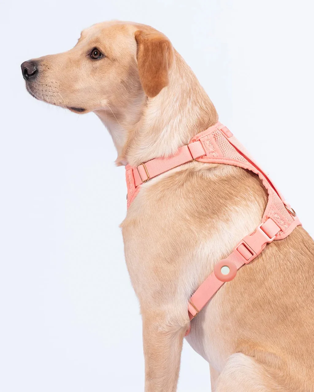 Awoo Fetch! AirTag Holder - Image 5
