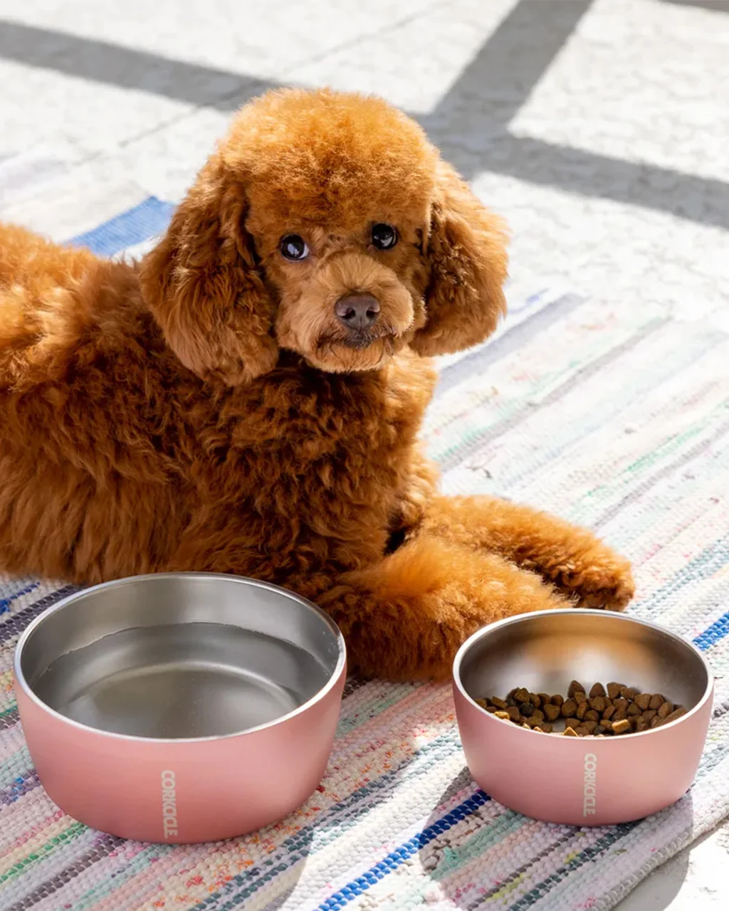 Corkcicle Dog Bowl - Image 2