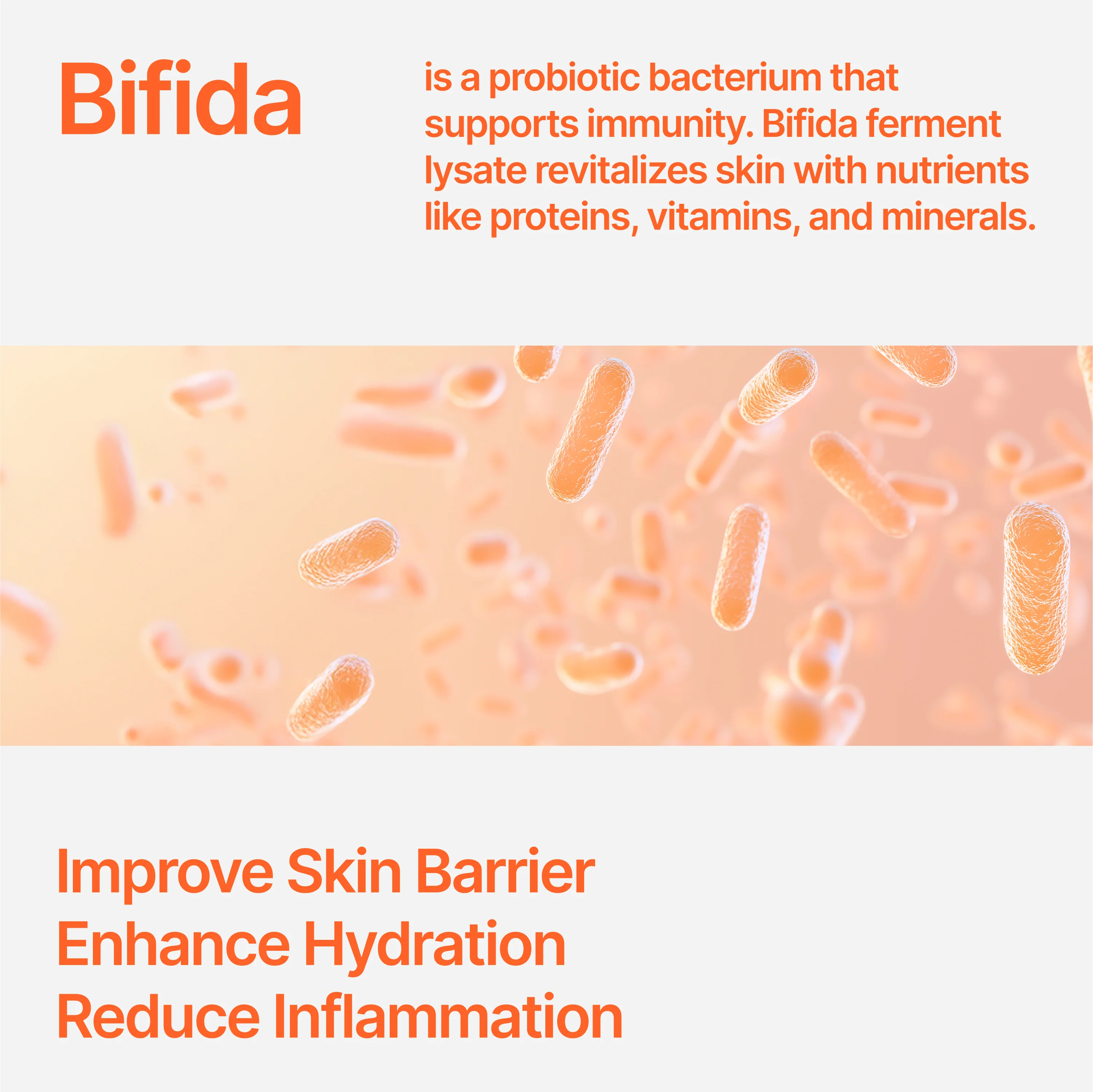 CU Dr. Solution Bifida Ampoule - Image 5