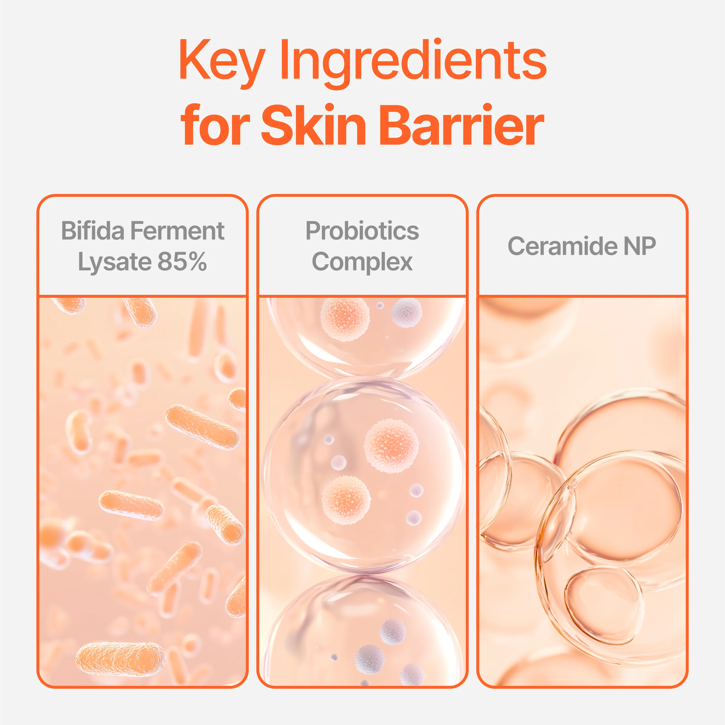 CU Dr. Solution Bifida Toner - Image 6