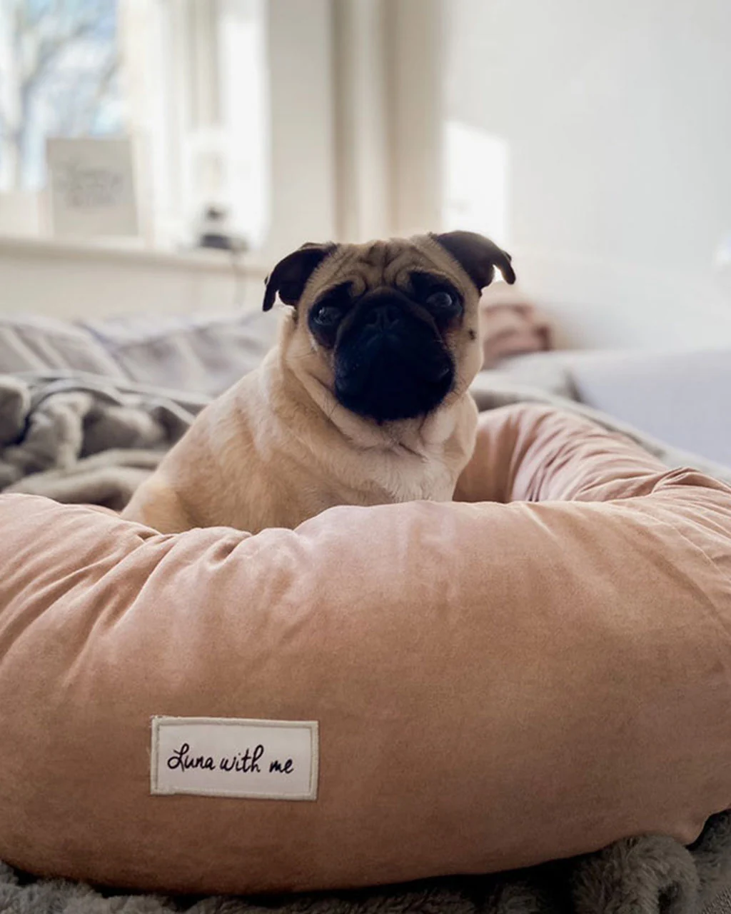 Luna With Me Donut Dog Bed - Beige - Image 3