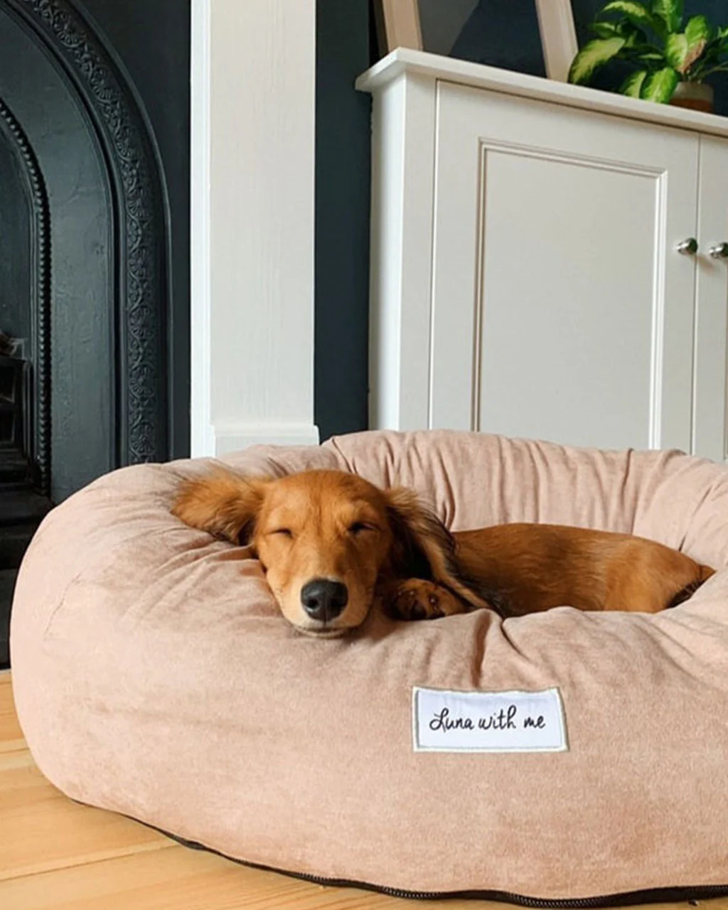 Luna With Me Donut Dog Bed - Beige - Image 4