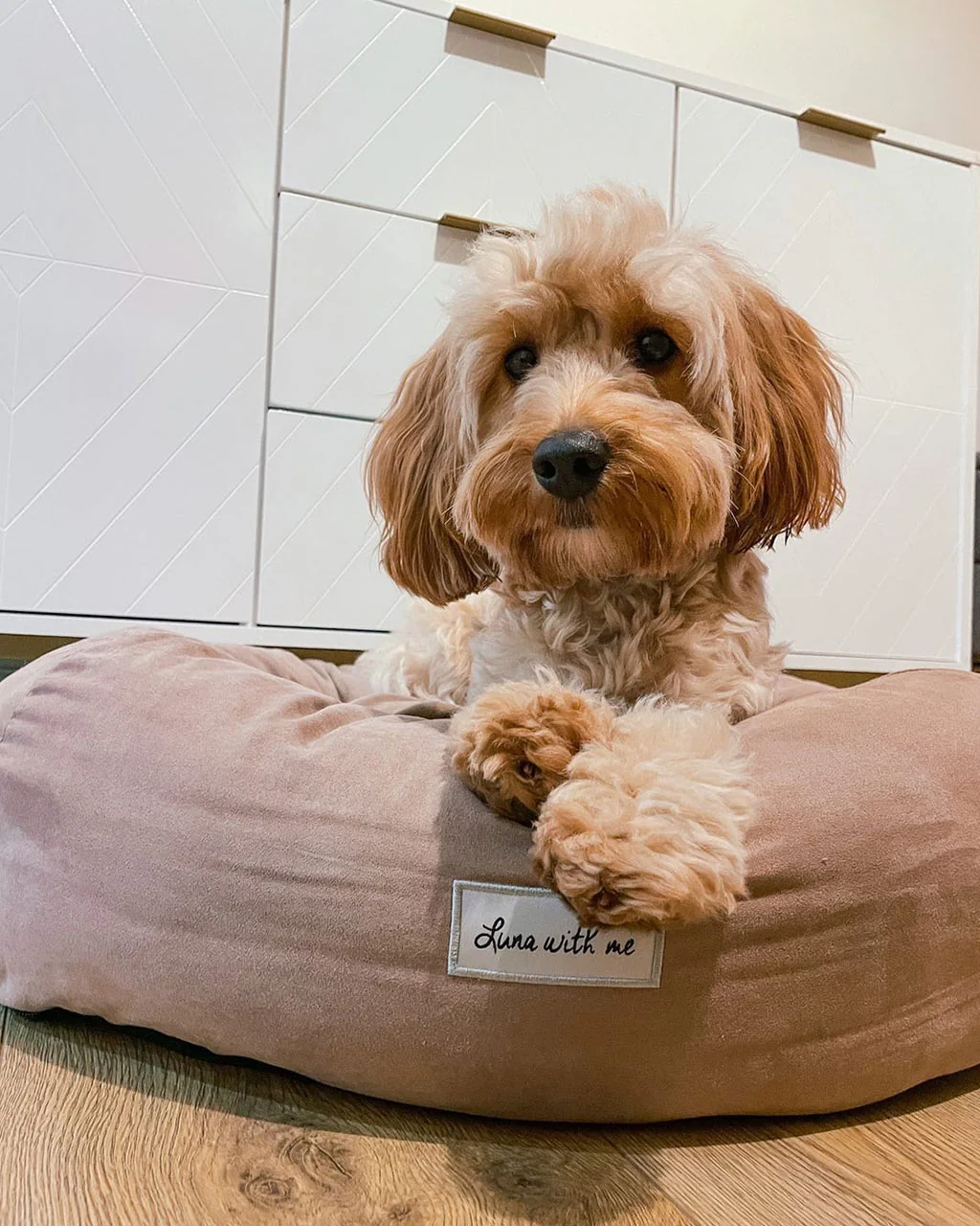 Luna With Me Donut Dog Bed - Beige - Image 6