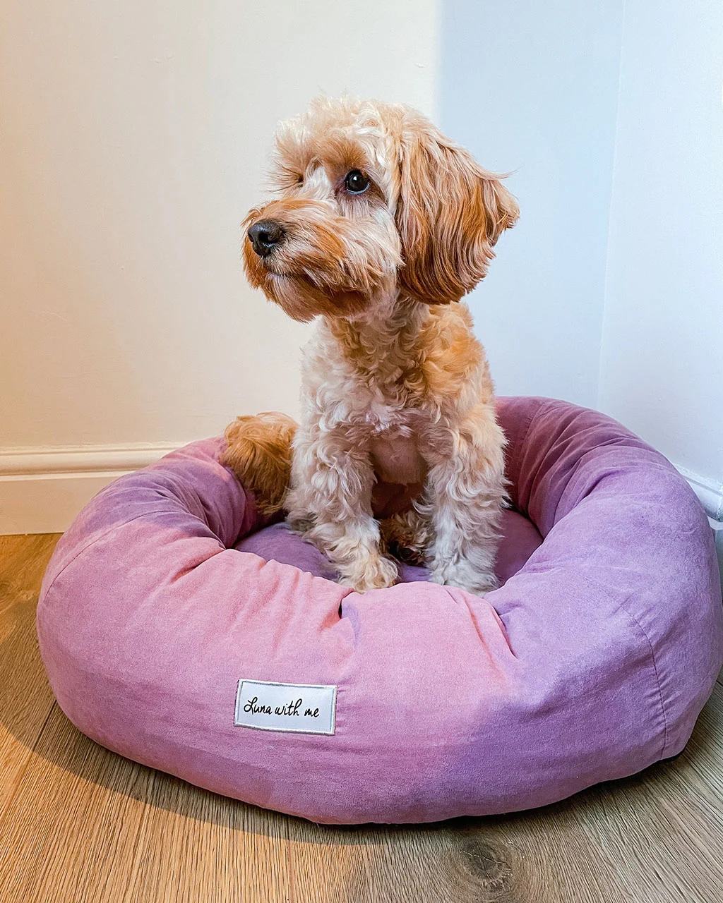 Luna With Me Donut Dog Bed - Mauve - Image 3