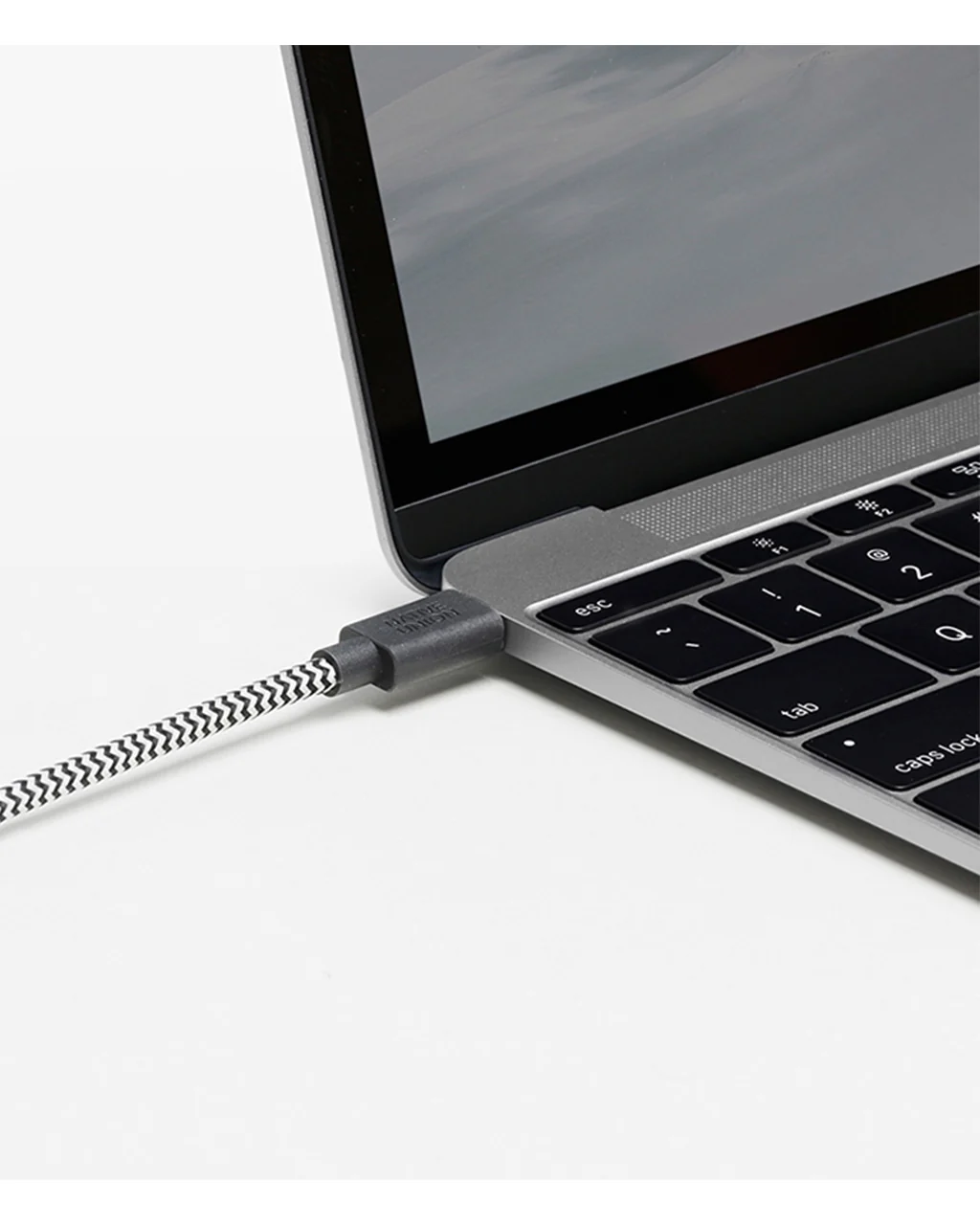 Native Union Belt Cable USB-C to USB-C (8ft) - Image 4