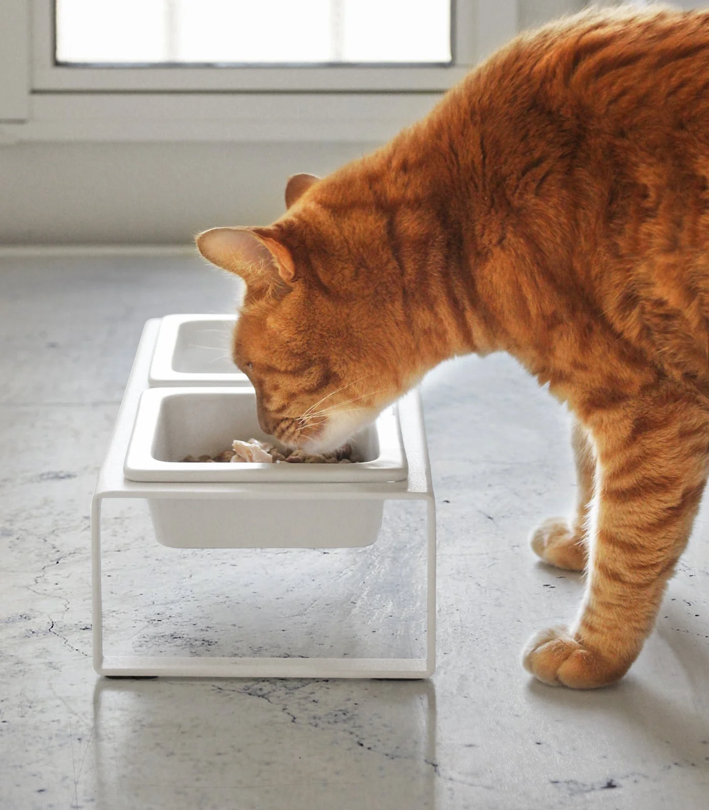 Yamazaki Home Pet Food Bowl - Tall - Image 3