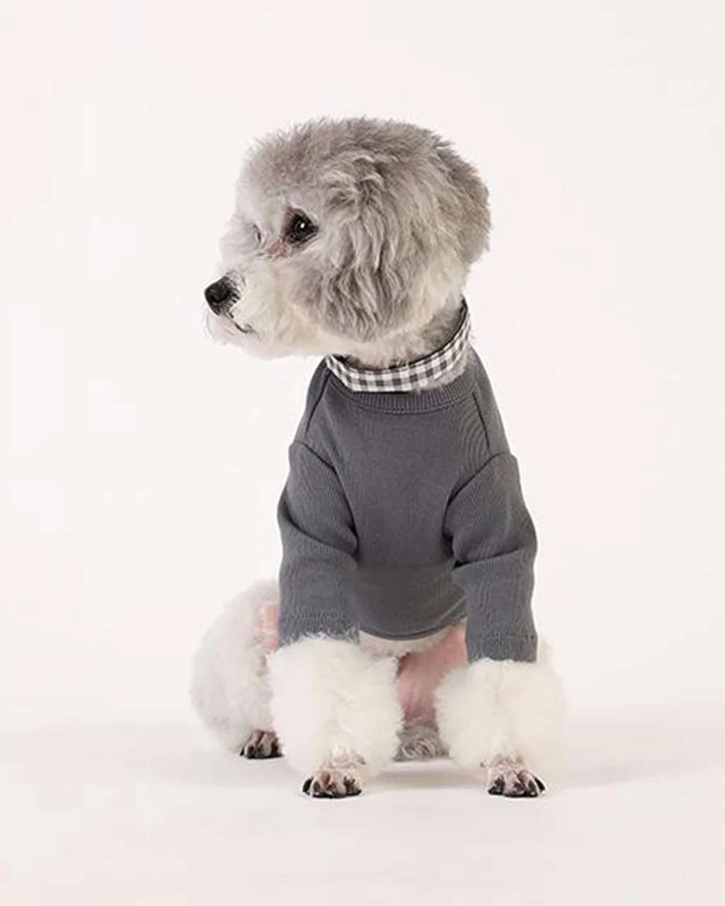 Pets So Good Gelato Sleeve - Image 4