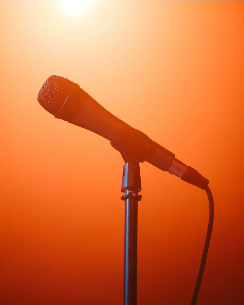 Sennheiser Professional e835 S - Image 2