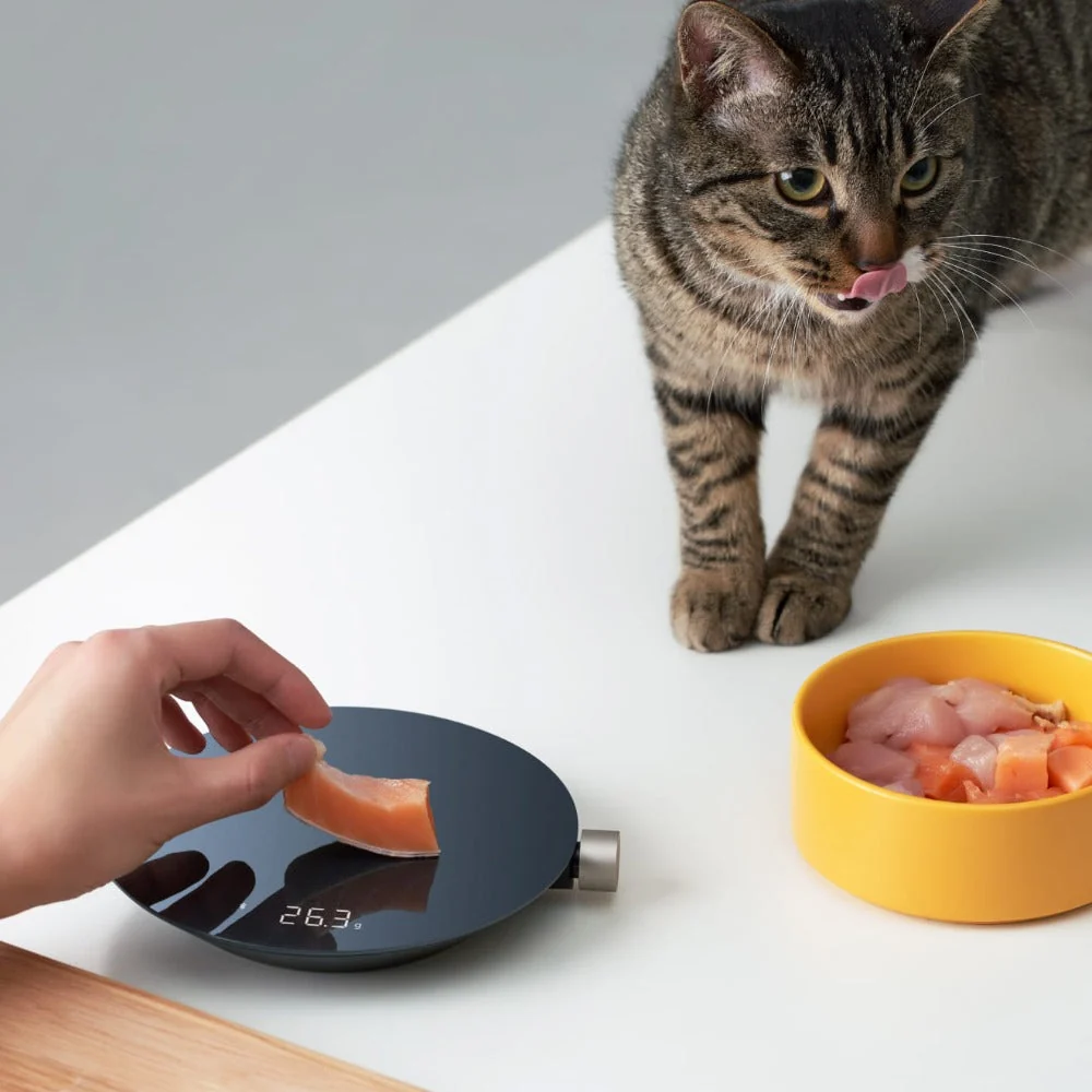 HOTO Smart Kitchen Scale - Image 3