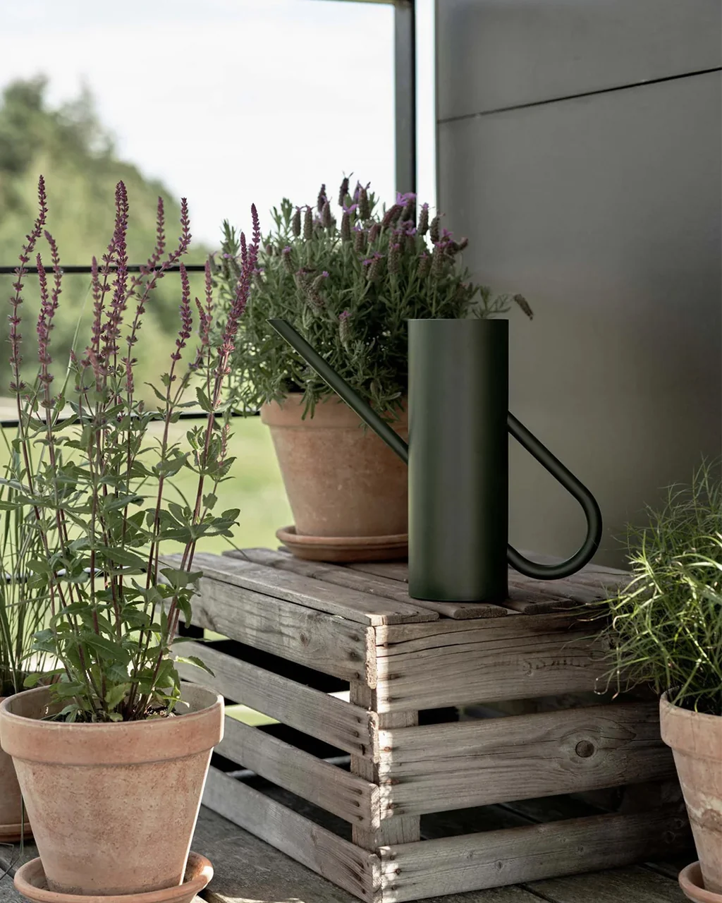 Stelton Bloom Watering Can - Image 2