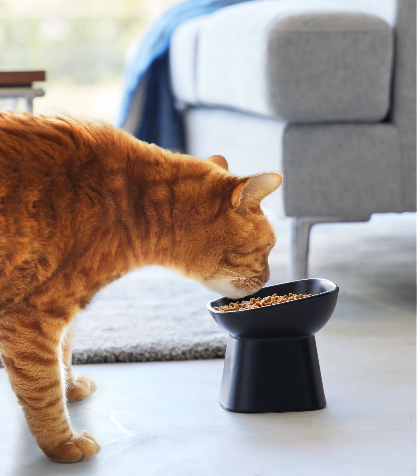 Yamazaki Home Tilted Pet Food Bowl - Image 8
