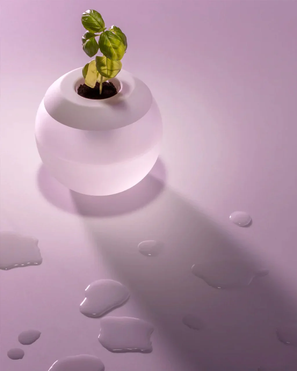 W&P The Hydropod - Image 3